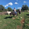 Passeggiata a Cavallo nel Parco Nazionale del Gargano