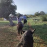 Passeggiata a Cavallo nel Parco Nazionale del Gargano