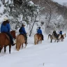 Passeggiata a Cavallo sul Monte Gaggio in Trentino