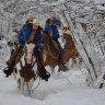 Passeggiata a Cavallo sul Monte Gaggio in Trentino