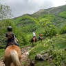 Passeggiata a Cavallo sull'Appennino Tosco Emiliano