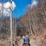 Passeggiata a Cavallo sull'Appennino Tosco Emiliano