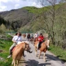 Passeggiata a Cavallo sull'Appennino Tosco Emiliano