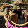 Passeggiata con gli Alpaca a Chianciano Terme