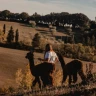 Passeggiata con gli Alpaca a Siena