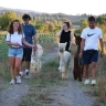 Passeggiata con gli Alpaca a Siena