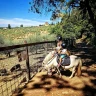 Passeggiata in sella ai Pony vicino Firenze