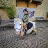 Passeggiata in sella ai Pony vicino Firenze