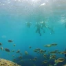 Snorkeling a Portofino in Liguria