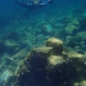 Snorkeling tour alle Isole Ciclopiche