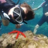 Snorkeling tour alle Isole Ciclopiche