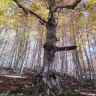 Trekking al Tramonto nel Parco Nazionale del Pollino