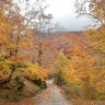 Trekking al Tramonto nel Parco Nazionale del Pollino