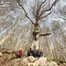 Trekking nel Parco Nazionale del Pollino