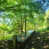 Trekking nell'Area Faunistica dell'Orso Bruno