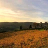 Visita in Cantina al Castello di Meleto nel Chianti