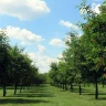 Vivi un'Azienda agricola Modenese