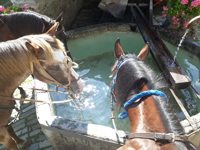 Giornata a Cavallo ad Avigliana